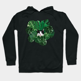 Cute Tuxedo Cat And Monstera Leaves Hoodie